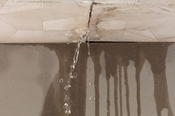 Professional Water Damage Repair technician working in Weston, CT